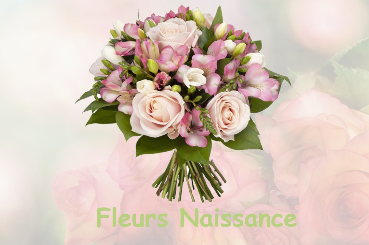 fleurs naissance NAMPS-MAISNIL